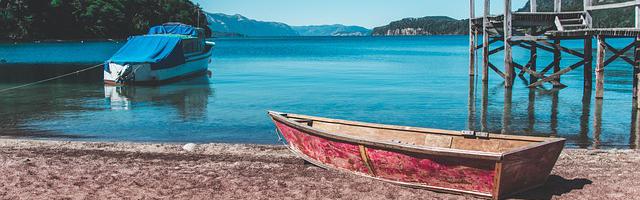 上門龍婿葉辰蕭初然_第28章 設宴