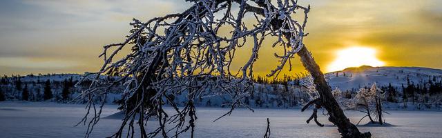 上門龍婿葉辰蕭初然_第3161章 去華夏團建！