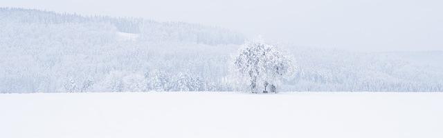上門龍婿葉辰蕭初然_第2章 我有現金一百億