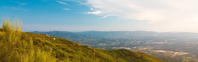 上門龍婿葉辰蕭初然_第2771章 斗法！