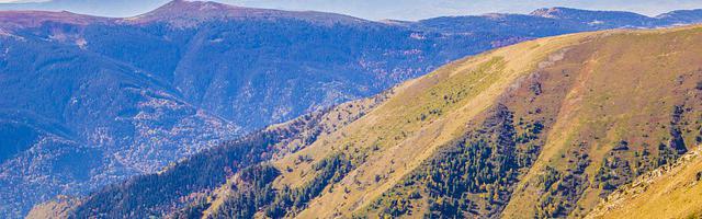 上門龍婿葉辰蕭初然_第830章 狠狠摔一下就好了