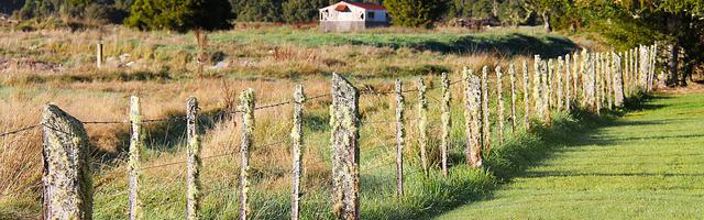 上門龍婿葉辰蕭初然_第3318章 盡在掌控