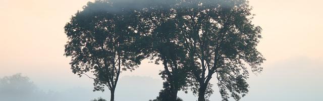 上門龍婿葉辰蕭初然_第73章 盡情享用