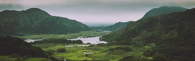 上門龍婿葉辰蕭初然_第715章 華夏人向來講道理