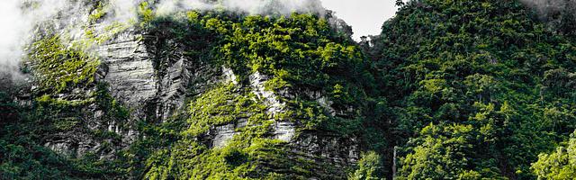 上門龍婿葉辰蕭初然_第204章 化為齏粉