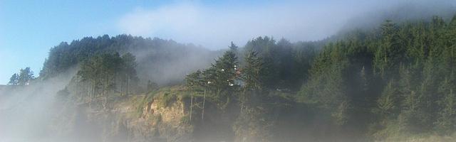 上門龍婿葉辰蕭初然_第3345章 滾下來！