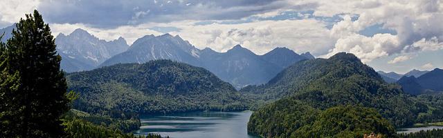 上門龍婿葉辰蕭初然_第347章 跪倒一片！