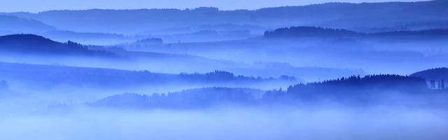 上門龍婿葉辰蕭初然_第135章 富家千金的苦惱