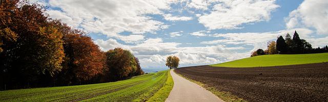 上門龍婿葉辰蕭初然_第1944章 當場贈送