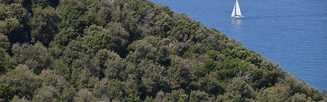 上門龍婿葉辰蕭初然_第80章 天大的冤枉