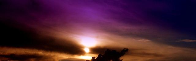 上門龍婿葉辰蕭初然_第19章 我就是超級神豪