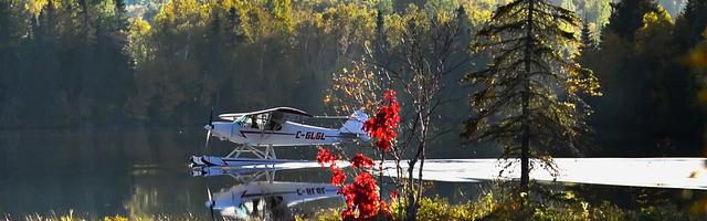 上門龍婿葉辰蕭初然_第227章 蕭初然的邀請