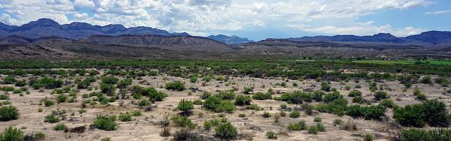 上門龍婿葉辰蕭初然_第3107章 陽謀