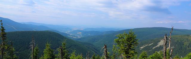 上門龍婿葉辰蕭初然_第1808章 送貨上門、服務到家