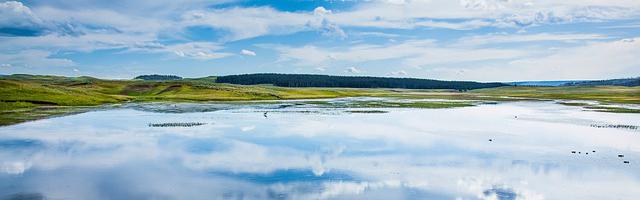 上門龍婿葉辰蕭初然_第1209章 屢教不改