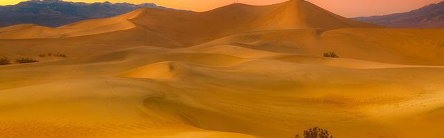 都市神醫葉辰很囂張_第12311章 四神獸（三合一）