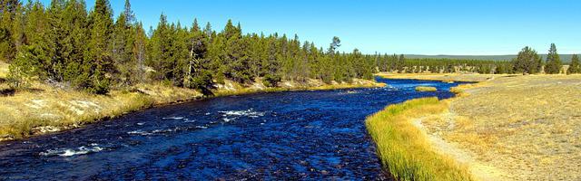 上門龍婿葉辰蕭初然_第2661章 只有退出這一條路了