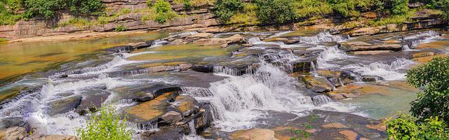 上門龍婿葉辰蕭初然_第1228章 怕是來不及救人了