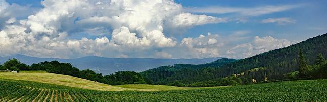 上門龍婿葉辰蕭初然_第1019章 一定另有所圖！