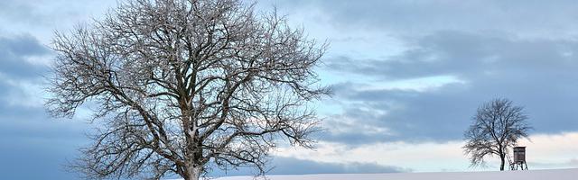 上門龍婿葉辰蕭初然_第2437章 一切盡在不言中