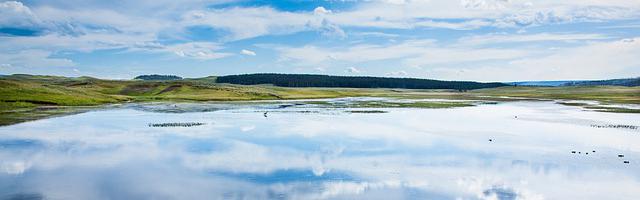 上門龍婿葉辰蕭初然_第2938章 真的沒救了