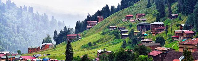 上門龍婿葉辰蕭初然_第185章 叫爸爸！