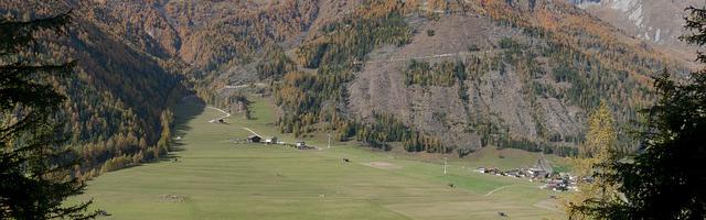 上門龍婿葉辰蕭初然_第254章 做好他的狗