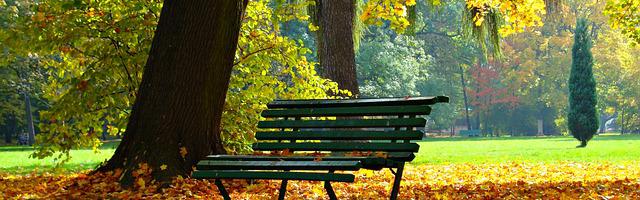 上門龍婿葉辰蕭初然_第494章 這叫什么事啊！