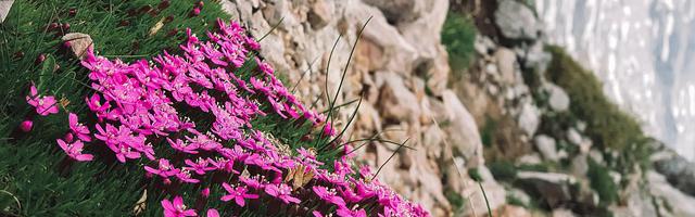 上門龍婿葉辰蕭初然_第814章 你真的誤會我了！