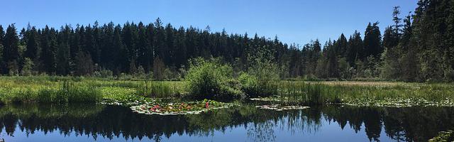 上門龍婿葉辰蕭初然_第224章 你又救了我一次