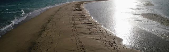 上門龍婿葉辰蕭初然_第2605章 完蛋了