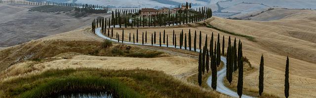 上門龍婿葉辰蕭初然_第47章 再買一輛寶馬車