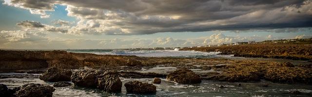 上門龍婿葉辰蕭初然_第189章 只有一人能治好你！