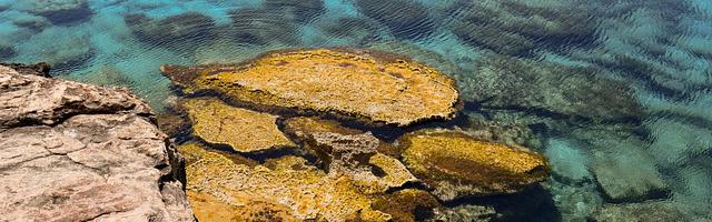 上門龍婿葉辰蕭初然_第2775章 十死無生