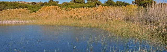 上門龍婿葉辰蕭初然_第2969章 幫了大忙