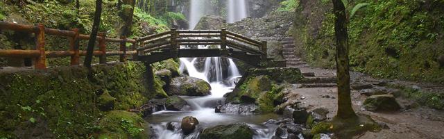 上門龍婿葉辰蕭初然_第2905章 歡迎您來到紐約！