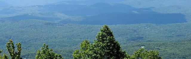 上門龍婿葉辰蕭初然_第3219章 先把它給找出來