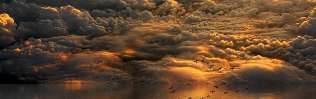 上門龍婿葉辰蕭初然_第2646章 不以物喜，不以己悲