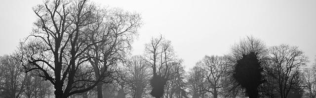 上門龍婿葉辰蕭初然_第3188章 這是你的好機會