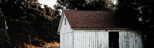 上門龍婿葉辰蕭初然_第1024章 過的這是什么日子