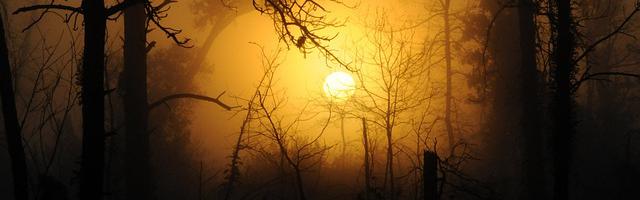 上門龍婿葉辰蕭初然_第492章 老子真是太機智了！