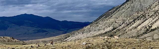 上門龍婿葉辰蕭初然_第270章 陰奉陽違