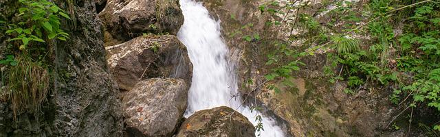 上門龍婿葉辰蕭初然_第2933章 有切入點了