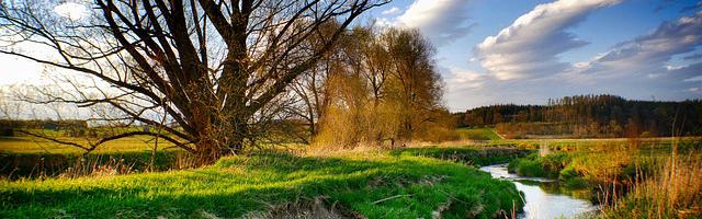 上門龍婿葉辰蕭初然_第3244章 順利切入