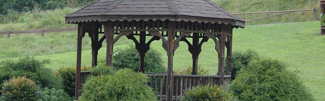 上門龍婿葉辰蕭初然_第3101章 擇日不如撞日