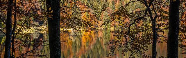 上門龍婿葉辰蕭初然_第2817章 天地皆奉其為尊