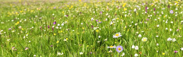 上門龍婿葉辰蕭初然_第1069章 難言之隱