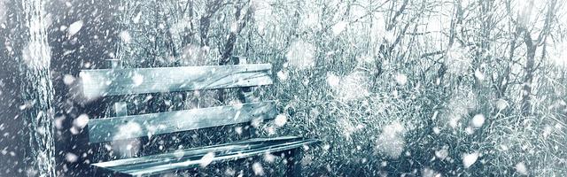 上門龍婿葉辰蕭初然_第49章 坑爹的老丈人