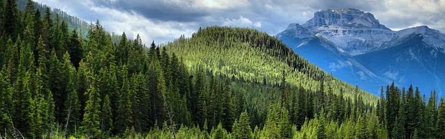 上門龍婿葉辰蕭初然_第2741章 忽悠，接著忽悠！