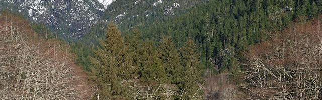 上門龍婿葉辰蕭初然_第1117章 海嘯襲來